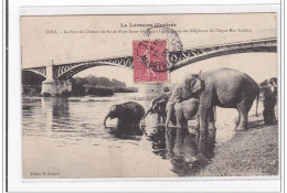 TOUL : Le Pont Du Chemin De Fer De Pont-saint-vincent, La Baignade Des Elephants Du Cirque Mac-caddon - Etat - Toul