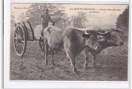 LA MOTTE-BEUVRON : Colonie Saint-maurice, La Culture - Tres Bon Etat - Lamotte Beuvron