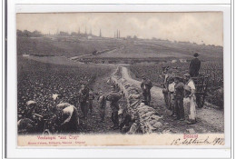 BEAUNE : Vendanges """"aux Cras"""" - Tres Bon Etat - Beaune