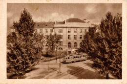 WARSZAWA / VARSOVIE : SZKOŁA GŁÓWNA GOSPODARSTWA WIEJSKIEGO / UNIVERSITY... [ TRAMWAY ] - MAILED In 1950 (an603) - Polen