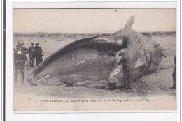 BARRE-de-MONTS : Une Baleine, Ce Monstre Marin Mesure 20 Metres De Long Et Pese 70 000 Kilos - Tres Bon Etat - Other & Unclassified