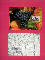 Cartes Maximum De 1994 Du Liechtenstein - Yt N° 1030 à 1033 - Evolution De La Vigne Au Fil Des 4 Saisons - Wijn & Sterke Drank