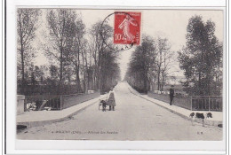 ARGENT : Avenue Des Acacias (voiture A Chien) - Tres Bon Etat - Argent-sur-Sauldre