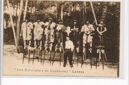 LANDES - """"Les Echassiers De Lucbardez"""" - Très Bon état - Autres & Non Classés