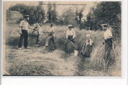 CINQ MARS LA PILE - Récolte Isolée D'un Porte-graine Blé Champion D'ANJOU - Très Bon état - Andere & Zonder Classificatie