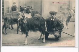 TYPES MERIDIONAUX - Le Chevrier Et Son Troupeau - Très Bon état - Autres & Non Classés