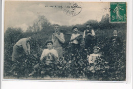 ARGENTEUIL - Les Vendanges - Très Bon état - Argenteuil