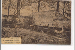 CHATELLERAULT - Rûché De """"La Désirée"""" A. Fraboulet Apiculteur - Très Bon état - Chatellerault