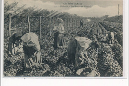 HYERES - Cueillette Des Violettes - Très Bon état - Hyeres