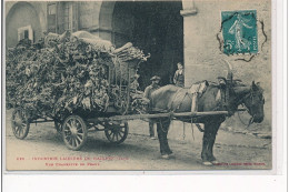 MAZAMET - Industrie Lainière à Mazamet - Une Charette De Peaux - Très Bon état - Mazamet