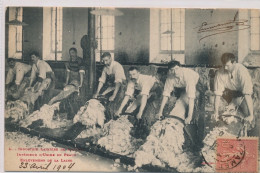 MAZAMET : Industrie Lainière, Intérieur D'Usine De Peaux, Enlèvement De La Laine - Très Bon état - Mazamet