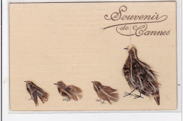 CANNES : Souvenir De Cannes (petits Oiseaux En Vrai Plumes) - Très Bon état - Cannes