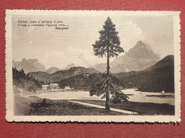 Cartolina - Lago Di Misurina ( Belluno ) - 1920 Ca. - Belluno