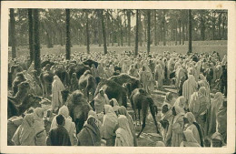 AFRICA - LIBYA / LIBIA - SUK EL GIUMA - MERCATO DEI CAMMELLI / CAMELS MARKET - ED. IST. COLONIALE FASCISTA 1930s (12553) - Libyen