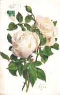 FANTAISIES - Fleurs - Bouquet De Fleurs - Rose - Colorisé - Carte Postale Ancienne - Andere & Zonder Classificatie