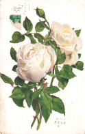 FANTAISIES - Fleurs - Bouquet De Fleurs - Rose - Colorisé - Carte Postale Ancienne - Other & Unclassified