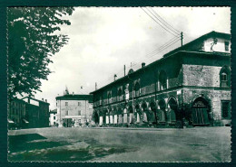 BF048 ZIBELLO PIAZZA GARIBALDI ANTICO PALAZZO PALLAVICINO - 1961 PARMA - Altri & Non Classificati