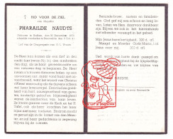DP Juff. Pharailde Naudts ° Kalken Laarne 1870 † Beervelde Lochristi 1943 - Images Religieuses