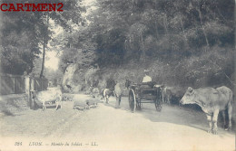 LYON MONTEE DU SOLDAT. ATTELAGE CHEVAL. BOEUFS - Autres & Non Classés