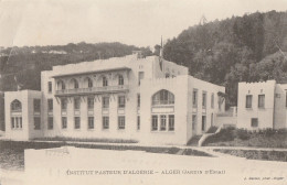 ALGER  - Institut Pasteur D'Algérie   Jardin D'Essai   RARE - Algeri