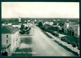 BF053 CASUMARO - FERRARA - PANORAMA - FRAZIONE DI CENTO - 1955 MODENA - Otros & Sin Clasificación