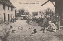 Aspach Le Haut (68 - Haut Rhin) Chats Affamés Rôdant Autour Des Cuisines - Autres & Non Classés