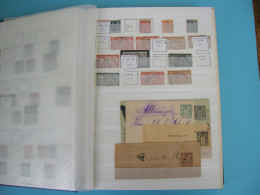BRD & DDR Album Deutsch-Deutsche Marken Schöne Zusammenstellung ** #Alb193 - Unused Stamps