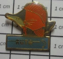 3417 Pin's Pins / Beau Et Rare : ANIMAUX / POISSON TROPICAL RUTO BAGA - Animals