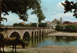 MIRANDELA - Ponte Romana Sobre O Tua - PORTUGAL - Bragança