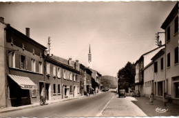 CPSM 07 Ardèche - LE POUZIN - Route Du Teil - Le Pouzin