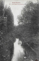 Saint Maurice. Promenade En Barque Sur Un Petit Bras De La Marne. - Saint Maurice