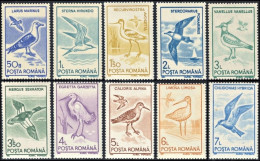 Romania 1991, Birds - 10 V. MNH - Altri & Non Classificati