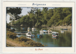 196 DEPT 29 : édit. YCA N° 10158 : Brigneau Le Petit Port - Other & Unclassified