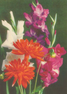 FLOWERS Vintage Postcard CPSM #PAR713.A - Bloemen