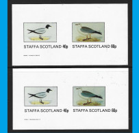 ● STAFFA Scotland 1982 ֍ ️UCCELLI ● Birds ● 2 BF Uguali ● Imperforated ● £ 1 (40 P + 60 P)● Lotto N.XX ● - Scotland