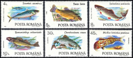 Romania 1992, Fish Fishes - 6 V. MNH - Fishes