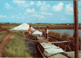 AVEIRO - Salinas - PORTUGAL - Aveiro