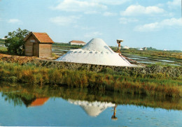 AVEIRO - Monte De Sal - PORTUGAL - Aveiro