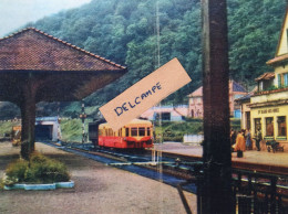 Autorail En Gare De Sainte Marie Aux Mines Dans Les Années 50 - Reproduction - Sainte-Marie-aux-Mines