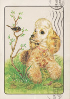 PERRO Animales Vintage Tarjeta Postal CPSM #PAN543.A - Cani
