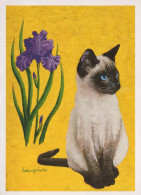 CHAT CHAT Animaux Vintage Carte Postale CPSM #PBR012.A - Katten