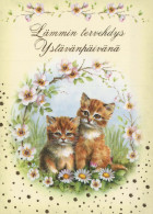 GATO GATITO Animales Vintage Tarjeta Postal CPSM #PBQ914.A - Cats