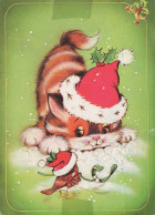 GATTO KITTY Animale Vintage Cartolina CPSM #PBQ795.A - Katten