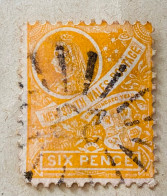 Nouvelle-Galles Du Sud, La Reine Victoria - 1905 -  Michel 98 - Used Stamps