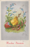 OSTERN HUHN EI Vintage Ansichtskarte Postkarte CPA #PKE440.A - Ostern