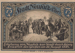 75 PFENNIG 1914-1924 Stadt NEUSALZ Niedrigeren Silesia UNC DEUTSCHLAND Notgeld #PD253 - Lokale Ausgaben