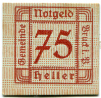 75 HELLER 1920 Stadt BRUCK IM PINZGAU Salzburg Österreich Notgeld Papiergeld Banknote #PL513 - Lokale Ausgaben