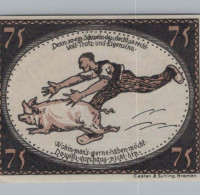 75 PFENNIG 1921 Stadt DIEPHOLZ Hanover UNC DEUTSCHLAND Notgeld Banknote #PA461 - Lokale Ausgaben