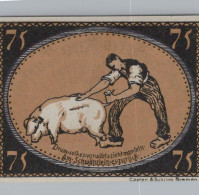 75 PFENNIG 1921 Stadt DIEPHOLZ Hanover UNC DEUTSCHLAND Notgeld Banknote #PA459 - [11] Emisiones Locales