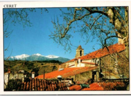 CERET. -  Lumière Et Couleurs Du Vallespir, Aurons Le Canigou.   -   écrite. Mais Non Circulée - Ceret